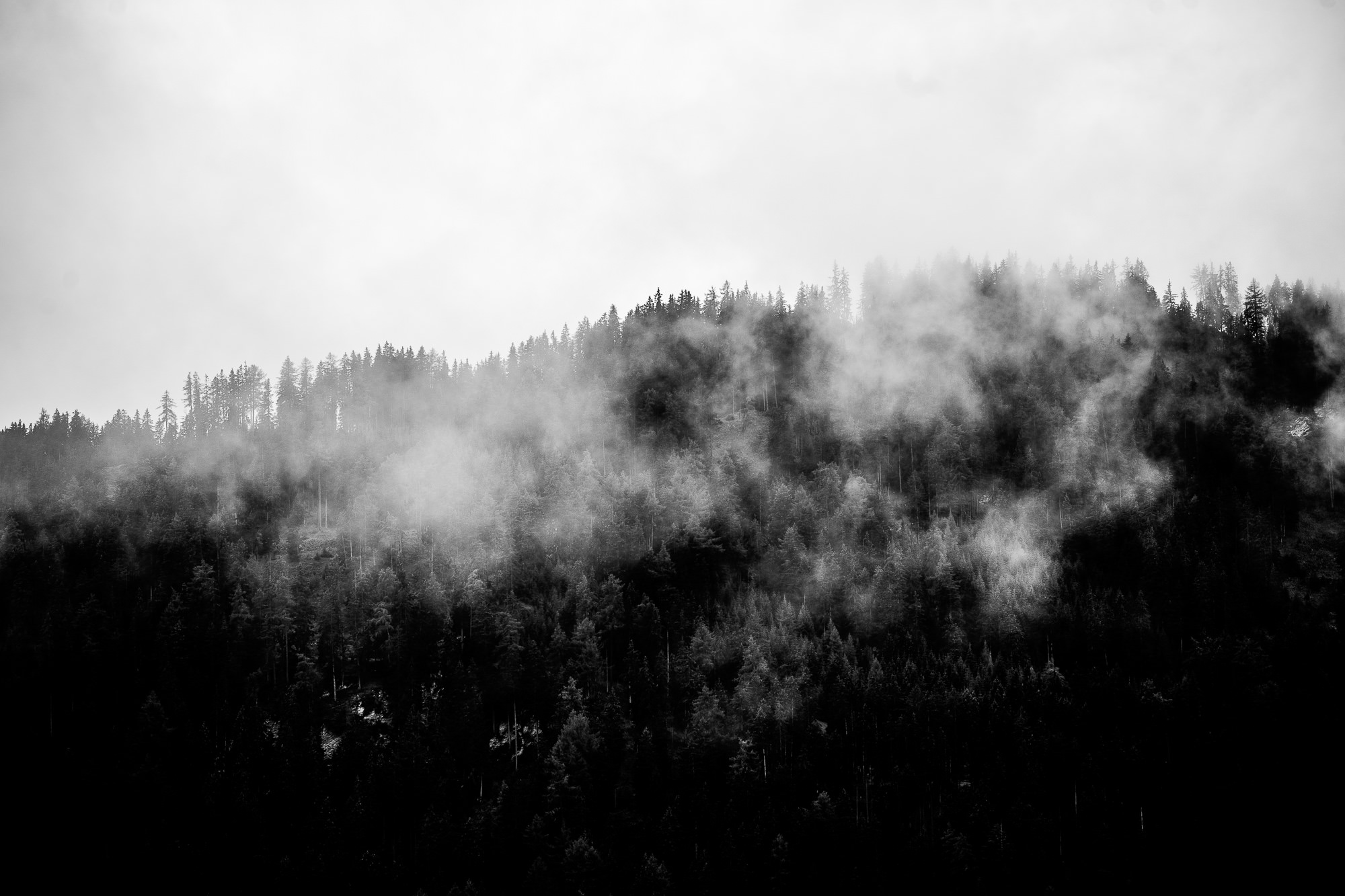 Export x3 1DX23852 Fotoshooting 2018 Annette & Mike Nauders 3